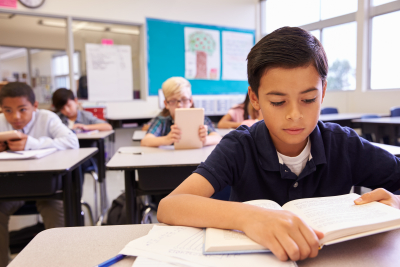 Schoolboy reading at his desk