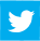 Twitter Icon